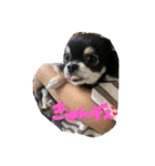 Kyunstanp（個別スタンプ：2）