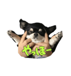 Kyunstanp（個別スタンプ：3）