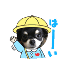 Kyunstanp（個別スタンプ：9）
