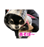 Kyunstanp（個別スタンプ：10）