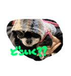 Kyunstanp（個別スタンプ：11）