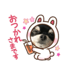 Kyunstanp（個別スタンプ：13）
