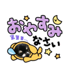 Kyunstanp（個別スタンプ：15）