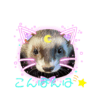 フェレットLOVE2（個別スタンプ：7）