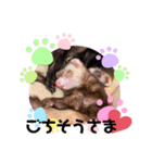 フェレットLOVE2（個別スタンプ：8）