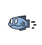 魚です、のLINEスタンプ！（個別スタンプ：16）