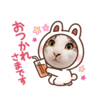 はなちゃんのお返事スタンプ（個別スタンプ：5）