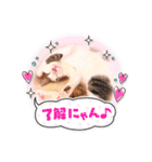 はなちゃんのお返事スタンプ（個別スタンプ：14）