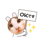 はなちゃんのお返事スタンプ（個別スタンプ：15）