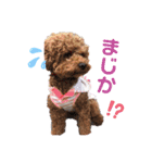 可愛いの日常3（個別スタンプ：3）