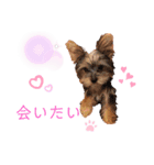 可愛いの日常3（個別スタンプ：6）