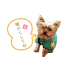 可愛いの日常3（個別スタンプ：8）