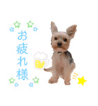 可愛いの日常3（個別スタンプ：9）