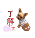 可愛いの日常3（個別スタンプ：12）