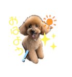 愛犬うにちゃん（個別スタンプ：4）