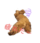 愛犬うにちゃん（個別スタンプ：5）