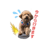 愛犬うにちゃん（個別スタンプ：14）