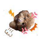 愛犬うにちゃん（個別スタンプ：19）