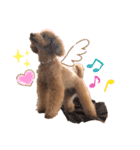 愛犬うにちゃん（個別スタンプ：20）