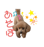 愛犬うにちゃん（個別スタンプ：21）