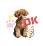 愛犬うにちゃん（個別スタンプ：22）