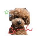 愛犬うにちゃん（個別スタンプ：23）