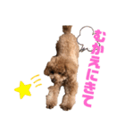 愛犬うにちゃん（個別スタンプ：25）