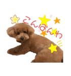 愛犬うにちゃん（個別スタンプ：31）