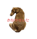 小春さん☻（個別スタンプ：4）