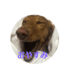 小春さん☻（個別スタンプ：6）