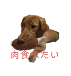 小春さん☻（個別スタンプ：13）