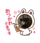 玉無トラコの日常1（個別スタンプ：3）
