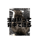 玉無トラコの日常1（個別スタンプ：22）