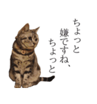 日常で使えるゆきちゃんスタンプ(敬語ver.)（個別スタンプ：25）