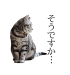 日常で使えるゆきちゃんスタンプ(敬語ver.)（個別スタンプ：27）