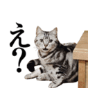 日常で使えるゆきちゃんスタンプ(敬語ver.)（個別スタンプ：31）