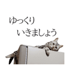 日常で使えるゆきちゃんスタンプ(敬語ver.)（個別スタンプ：34）