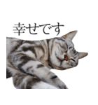 日常で使えるゆきちゃんスタンプ(敬語ver.)（個別スタンプ：38）