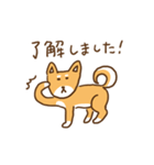 パグと柴犬の日常（個別スタンプ：8）