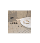にゃんこにゃ！（個別スタンプ：5）