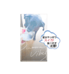 にゃんこにゃ！（個別スタンプ：27）
