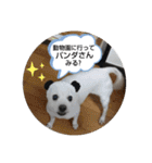 にゃんこにゃ！（個別スタンプ：33）
