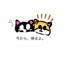 けっこう使えるんです。Nyan W an S Tan☆（個別スタンプ：17）