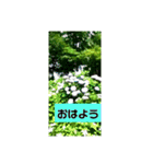 誕生日の花（個別スタンプ：7）
