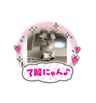 ニャンのキブンやさん（個別スタンプ：14）