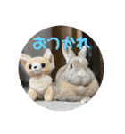 うさぎのココアくんver.1.01（個別スタンプ：6）