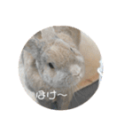 うさぎのココアくんver.1.01（個別スタンプ：9）