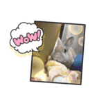うさぎのココアくんver.1.01（個別スタンプ：11）