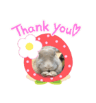 うさぎのココアくんver.1.01（個別スタンプ：13）