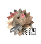 うさぎのココアくんver.1.01（個別スタンプ：16）